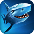 Shark Simulator(ģֻ)
