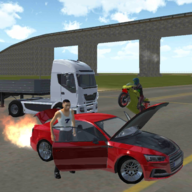 Furious Driving Simulator(񱩼ʻģ׿)