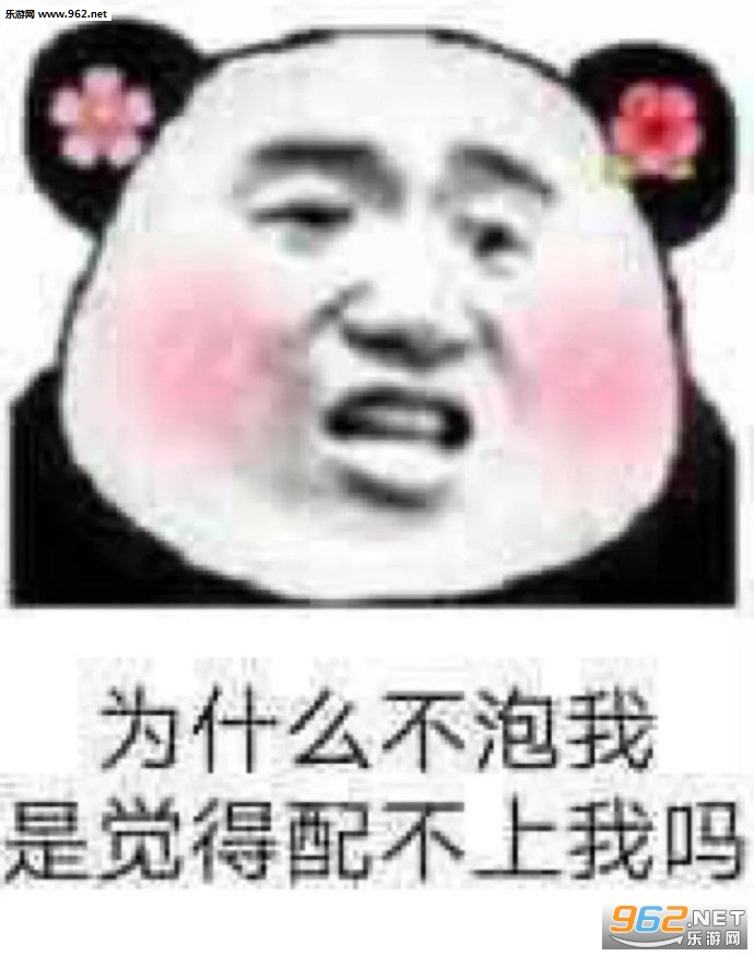 为什么不泡我表情包