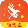 绿色快讯app v1.0