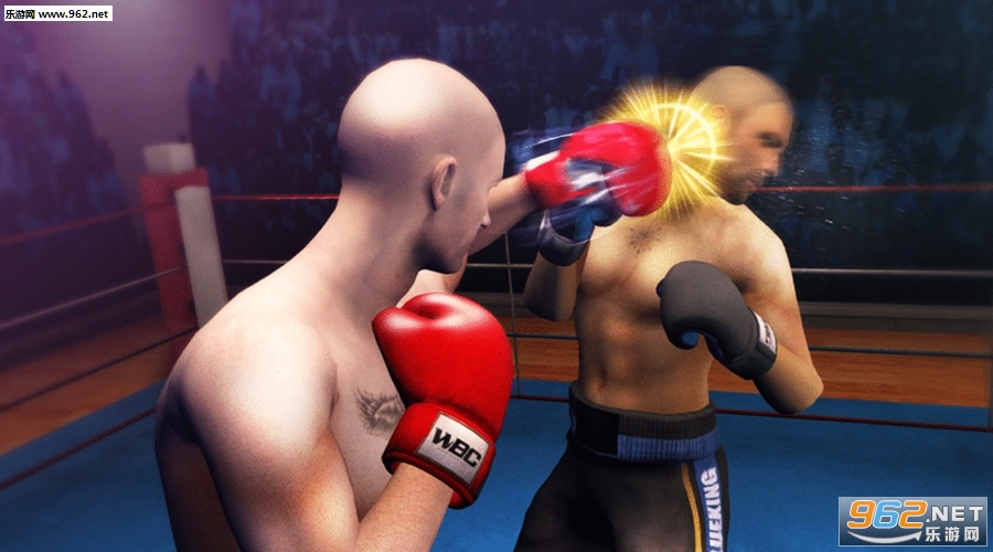 Ninja Punch Boxing Warrior(ҵȭֻ)v3.0.2ͼ1