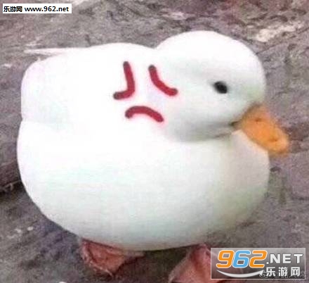 duckرͼ2