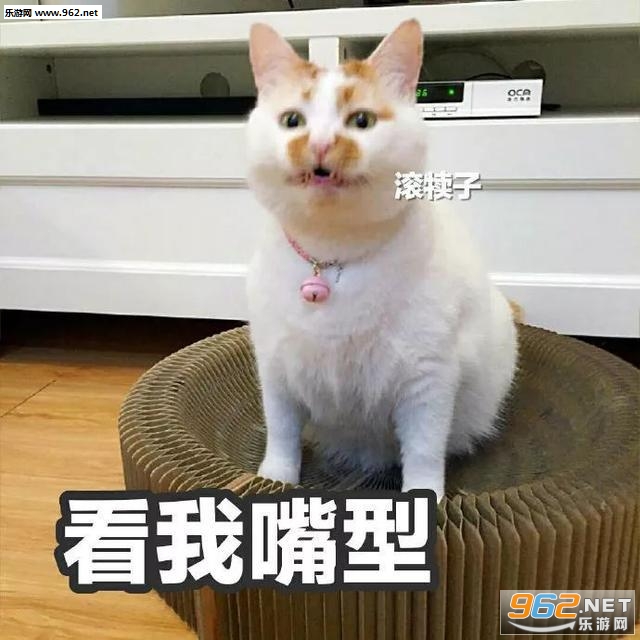 看我嘴型滚表情包