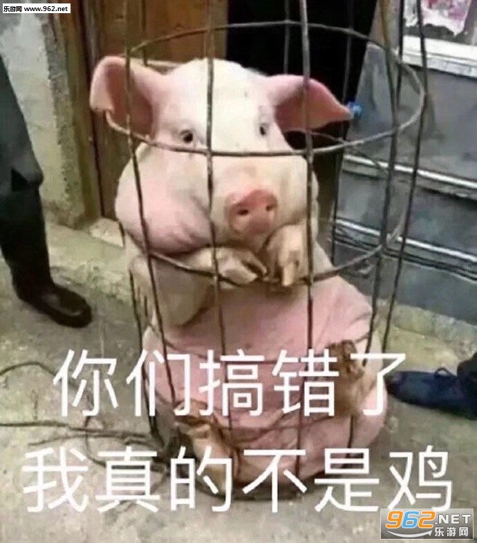 你们搞错了我真的不是鸡图片表情包