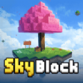Sky Block(յģ)