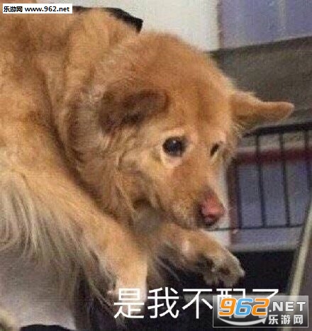 是我不配了表情包