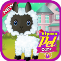 Alpaca Pet Care(ճﻤ)