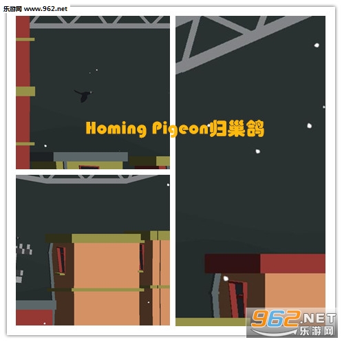 Homing Pigeonw׿