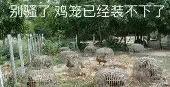 四倍鸡笼警告抓鸡表情包-听说这里有鸡表情包下载-乐