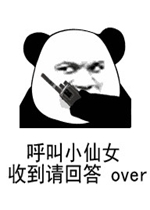 收到请回复over表情包