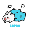CapooϷ