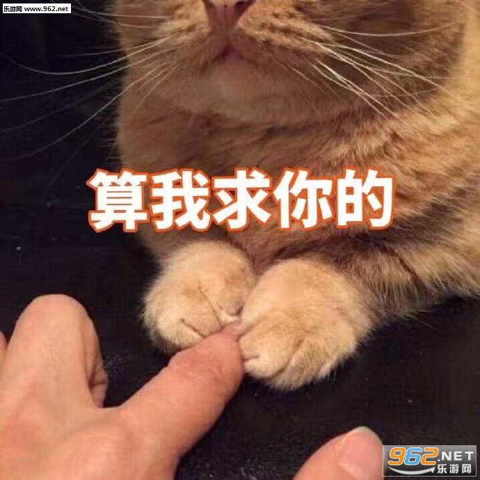 你说的都对但我并不会改熊猫表情包-你给我乖一点可爱