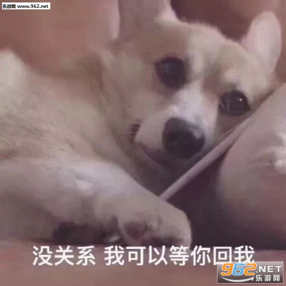 求求你了漂亮姐姐表情包