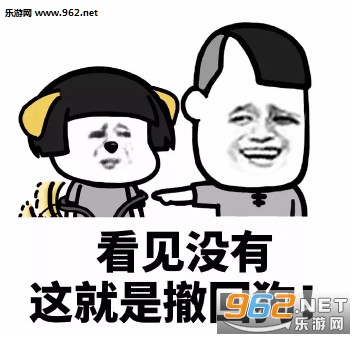 撤回消息后怼人表情图片|怼撤回消息的表情包下载-乐