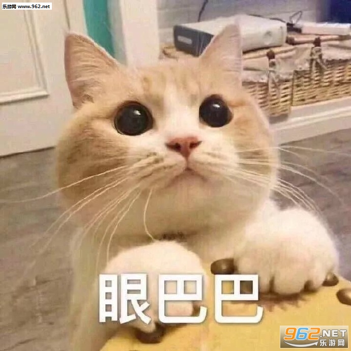 女生撒娇可爱猫咪图片-猫咪要抱抱表情包下载-乐游网