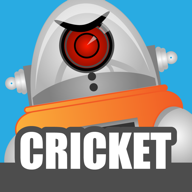 Robot Cricket(˰׿)
