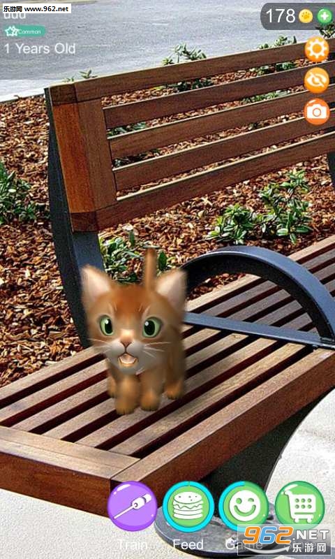 AR Cat(AR؈[)v1.0.1؈D3