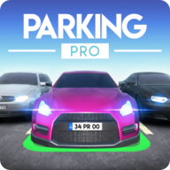 Parking Pro(ͣ܇c{񂰲׿)