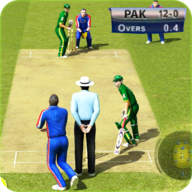 Pak vs NZ Cricket(籭׿)