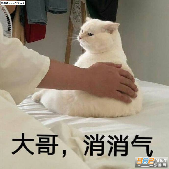 脱发也要开开心心表情包