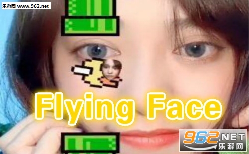 Flying FaceϷ