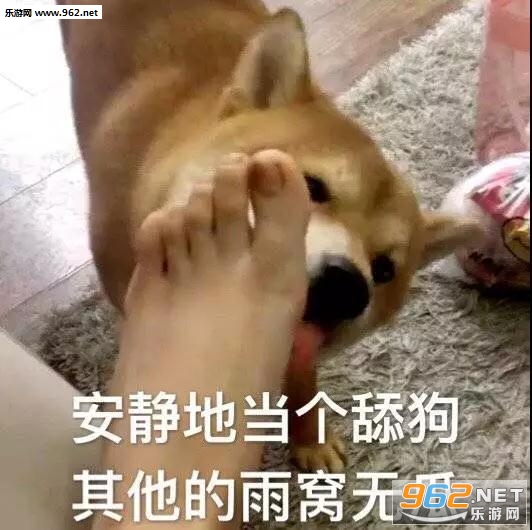 安静的当个舔狗其他的雨窝无瓜表情包