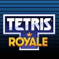 Tetris Royale(˹ɱֻ)