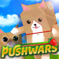 pushwars