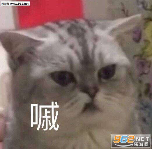 准备迎接夸奖表情包