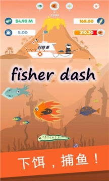 fisher dashϷ