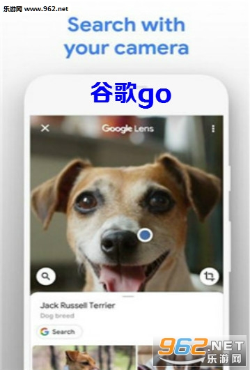 Ygo app