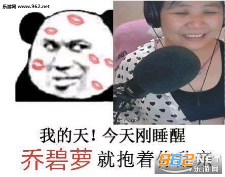 小黄鸡dj打碟表情包-认识你真好中老年人图片下载-乐