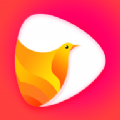 鸽迷app v1.0.2