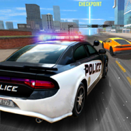 Police Car Sim(SIM׿)