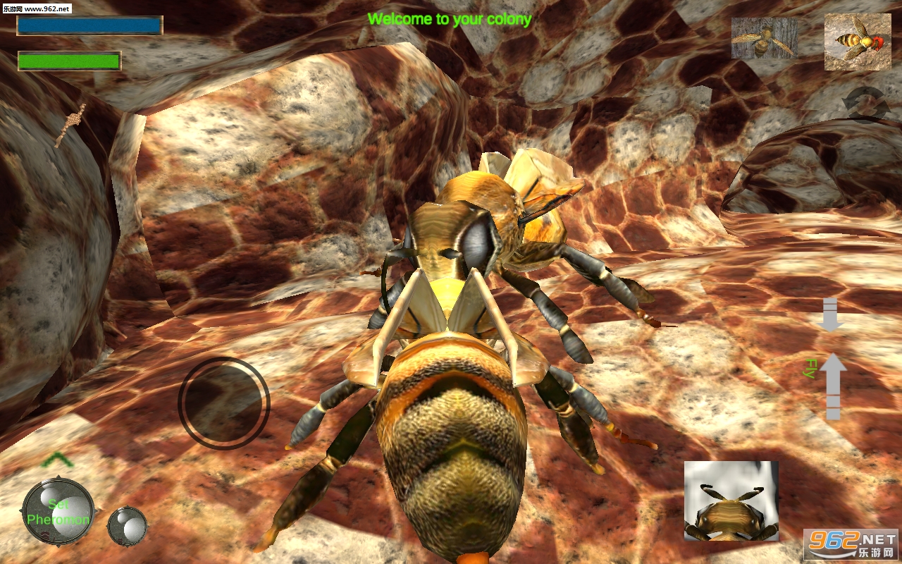 Bee Nest Simulation 3D(䳲ģ3D׿)v1.0.1ͼ1