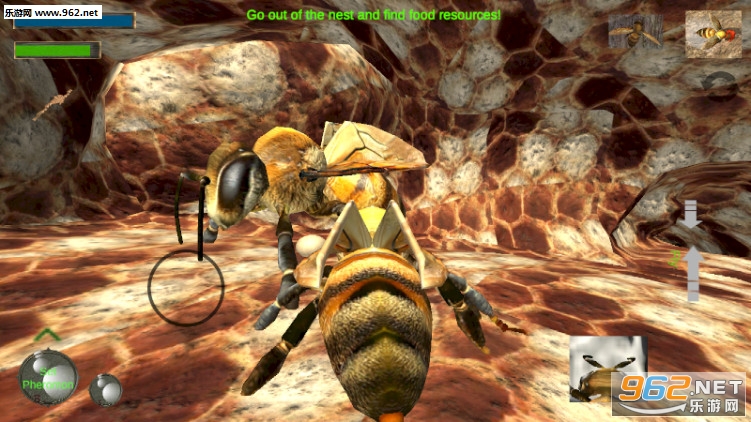 Bee Nest Simulation 3D(䳲ģ3d)v1.0.1ͼ1
