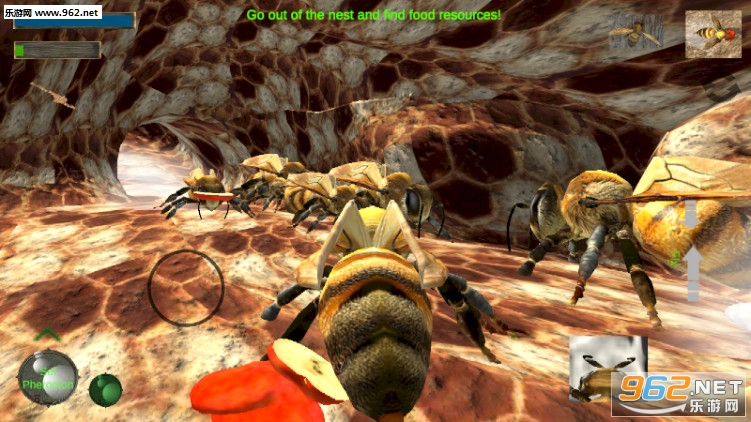Bee Nest Simulation 3D(䳲ģ3d)v1.0.1ͼ3