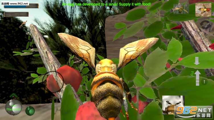 Bee Nest Simulation 3D(䳲ģ3d)v1.0.1ͼ4