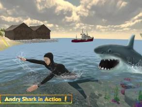 Life of Great White Shark(ģ׿)v1.0ͼ1