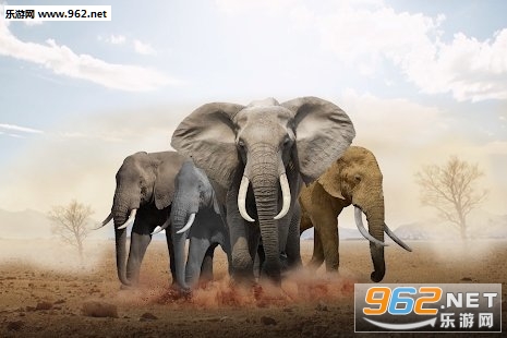 Giant Elephant Simulator(ģ׿)v1.0ͼ1