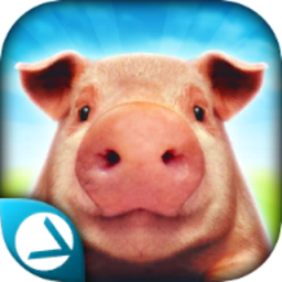 PigSimulator(ģ׿)