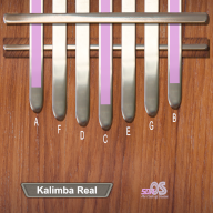 Kalimba Real[