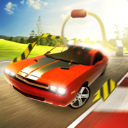 ؼ(Slingshot Stunt Driver)