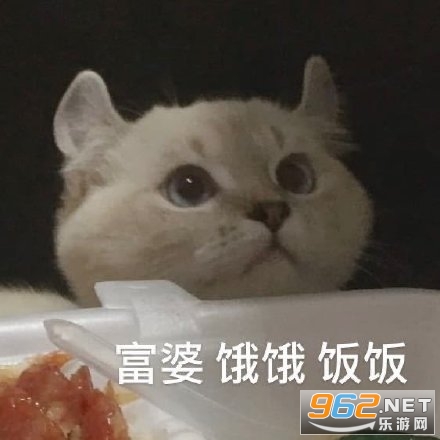 饿饿饭饭表情包鲨鱼猫猫