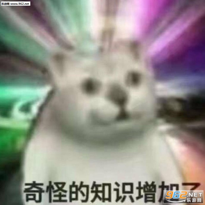 思维升华猫表情包