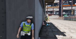 Police set weapons patrol simulator(ģؾѲϷ)v1.0ͼ1