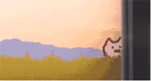 猫咪追火车动态图-猫咪追火车表情包下载-乐游网游戏
