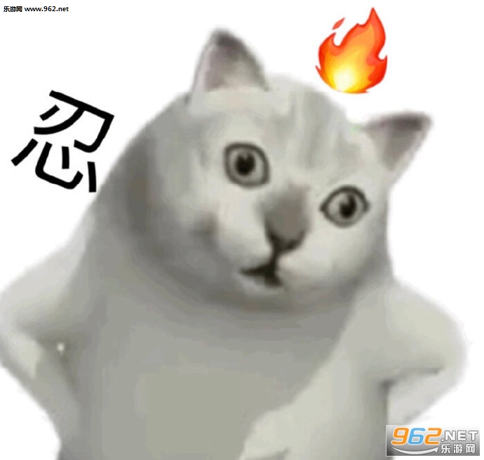 mur猫就你妈斜门表情包-mur猫表情包大全下载-乐游网游戏下载