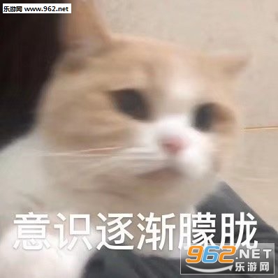 你好像个傻子表情包