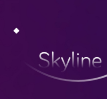 skyline模拟器安卓版 v0.3